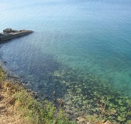 Reysol * Augusta